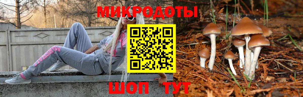 Буйнакск  Галлюциногенные грибы прущие грибы  Вход с VPN 